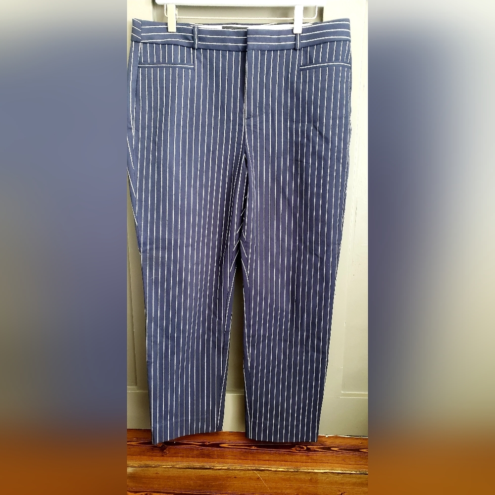 Size 14 womens Banana Republic sloan pants